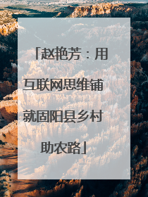 赵艳芳：用互联网思维铺就固阳县乡村助农路